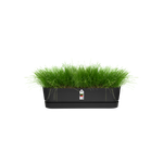 greenville pflanzgefäß lang 70cm living schwarz